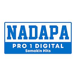 Nadapa Pro 1 Digital radio logo