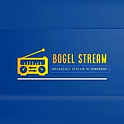 Bogel Stream radio logo