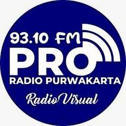 PRO 93.10 FM Purwakarta logo