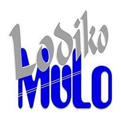 Lodiko Sodonyo radio logo