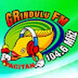 Grindulu Fm Pacitan logo