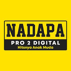 Nadapa Pro 2 Digital radio logo
