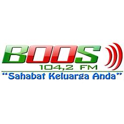BOOS FM logo