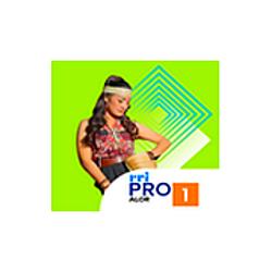 RRI Pro 1 - Alor radio logo