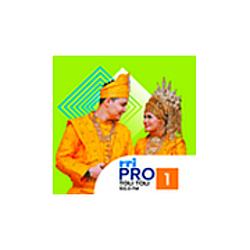 RRI Pro 1 - Toli Toli radio logo