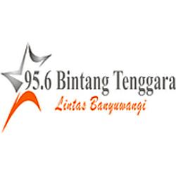 Radio Bintang Tenggara logo