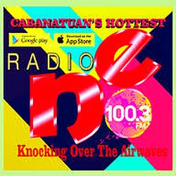 Radio NE FM100.3 logo