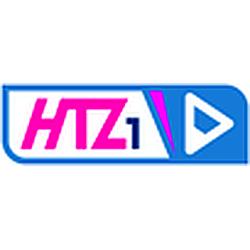 Raudio HTZ1 radio logo