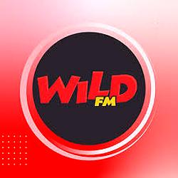 Wild FM Iloilo logo