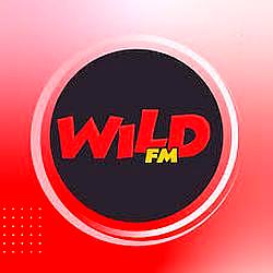 99.1 Wild FM GenSan logo