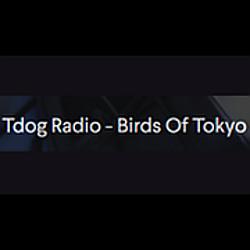 Tdog.Radio - Birds Of Tokyo logo