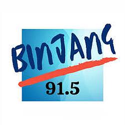 Binjang Radio 91.5 logo
