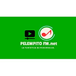 PelempitoFM.net radio logo
