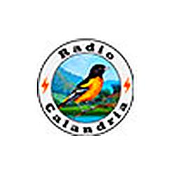 Radio Calandria logo