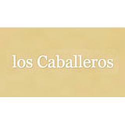 Caballeros en linea radio logo