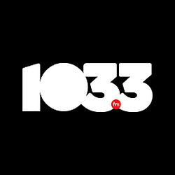 103.3 FM Santo Domingo logo