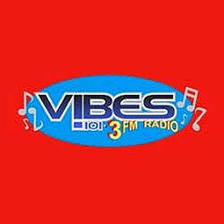Vibes 101.3 FM logo