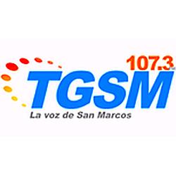 Radio Nacional TGSM logo
