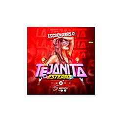 La Tejanita Esterio radio logo