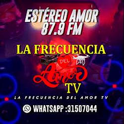 Estereo Amor - 87.9 Fm La frecuencia del Amor logo