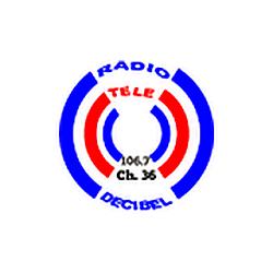 Radio Decibel Fm logo