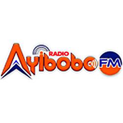 Radio Millennium Fm logo