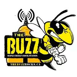 Melville's Rock Station The Buzz radio logo