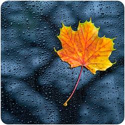 Nature Radio Rain logo