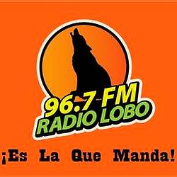 Radio Lobo Bajio logo