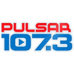 Pulsar radio logo