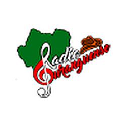 Radio Duranguense logo