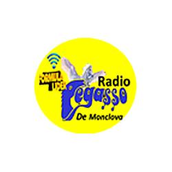 Radio Pegasso De Saltillo logo