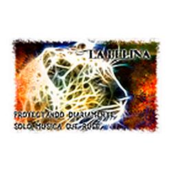 La Felina radio logo