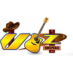 Vozfmgrupera radio logo