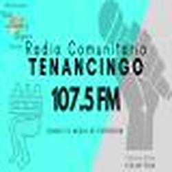 Radio Comunitaria Tenancingo 107.5 Fm logo