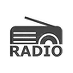 Radio Señal Digital 89.3 FM logo
