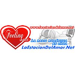 La Estación Del Amor Decadas radio logo