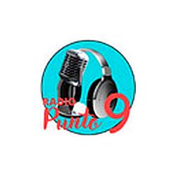 Radio Punto 9 logo