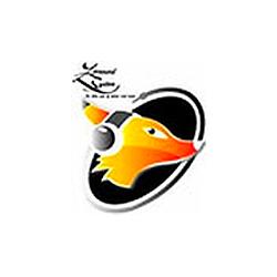 Zorround System radio logo