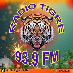 Radio Tigre 93.9 FM logo