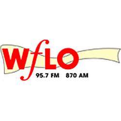 Flo 95.7 radio logo