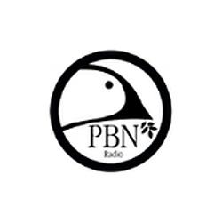 Praise Broadcast Network radio logo