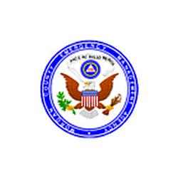 Decatur and Morgan County Public Safety radio logo