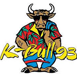 93.3 The Bull radio logo