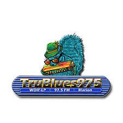 Tru Blues 97.5 radio logo