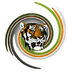 Tiger FM logo