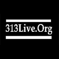 313 Live.Org radio logo