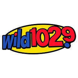 Wild 102.9 radio logo