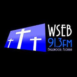 WSEB 91.3 FM logo