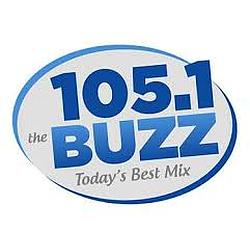 105.1 The Buzz radio logo